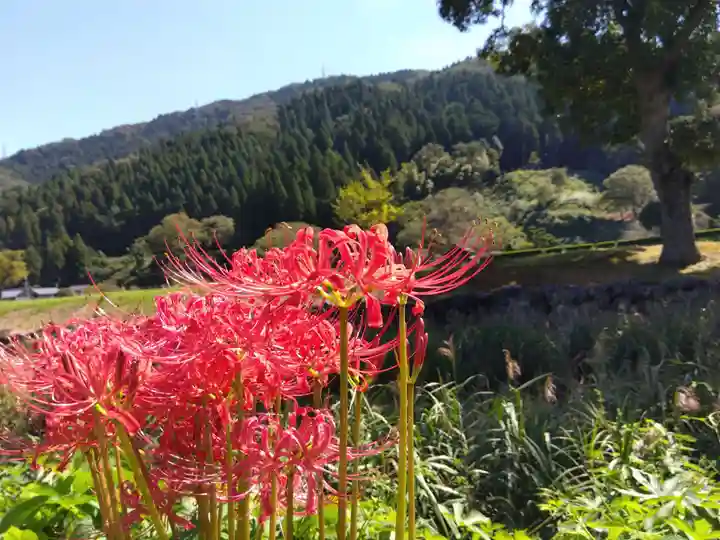 朝倉神社(福井県)