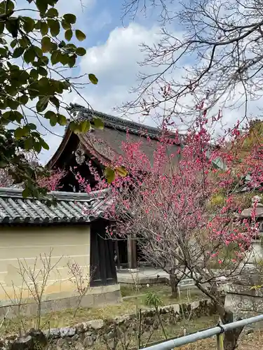 梅宮大社(京都府)