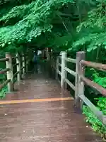 温泉神社の周辺