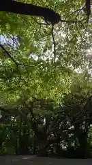 相馬神社(北海道)