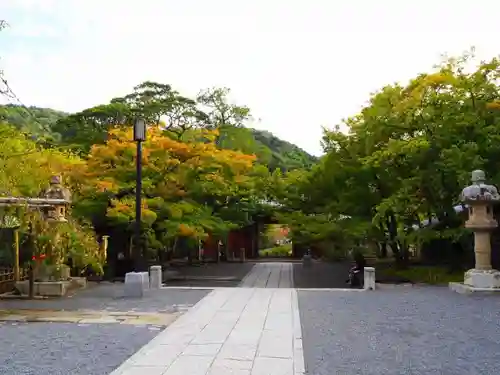 修禅寺の山門