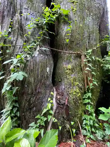 御鋒神社の自然