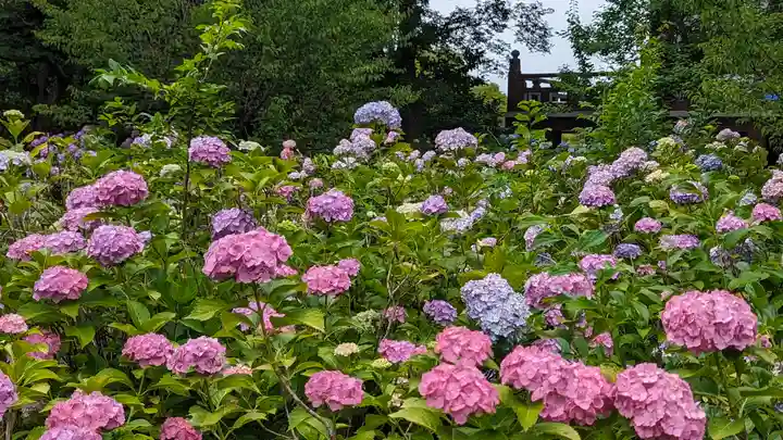 智積院(京都府)