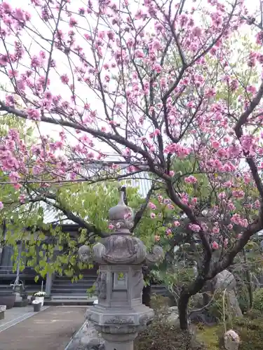 蓮華寺(静岡県)