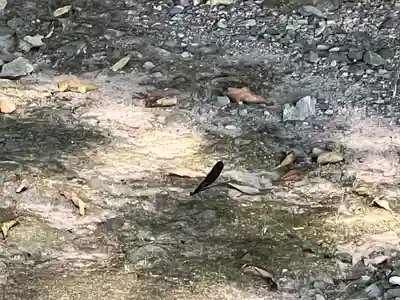 伊佐須美神社(福島県)