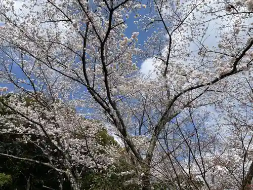 宝菩提院願徳寺(京都府)