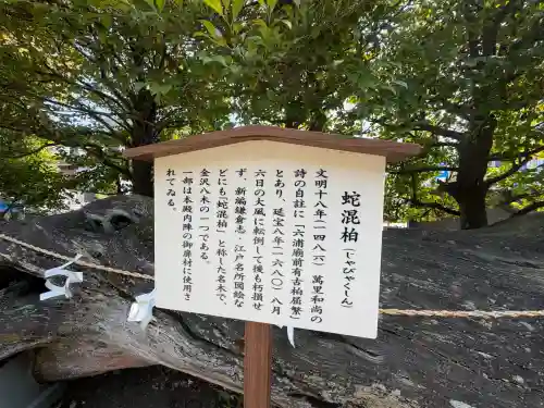 瀬戸神社の{uncategorized: "未分類", other: "その他", undefined: "問題あり", building: "その他建物", grave: "お墓", sacred_gate: "鳥居", guardian: "狛犬", statue: "像", buddha: "仏像", history: "歴史", nature: "自然", garden: "庭園", animal: "動物", pagoda: "塔", temizu: "手水舎", mountain_gate: "山門・神門", sanctuary: "本殿・本堂", subordinate: "末社・摂社", art: "芸術", scenery: "景色", jizo: "地蔵", ema: "絵馬", goshuin: "御朱印", omikuji: "おみくじ", items: "授与品その他", amulet: "お守り", goshuincho: "御朱印帳", eats: "食事", festival: "お祭り", votive_dance: "神楽", shichigosan: "七五三参", wedding: "結婚式", experience: "体験その他", initially: "初詣", around: "周辺", anti_infection: "感染症対策"}