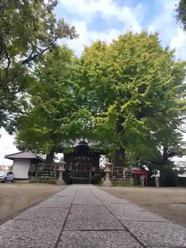 八幡橋八幡神社(神奈川県)