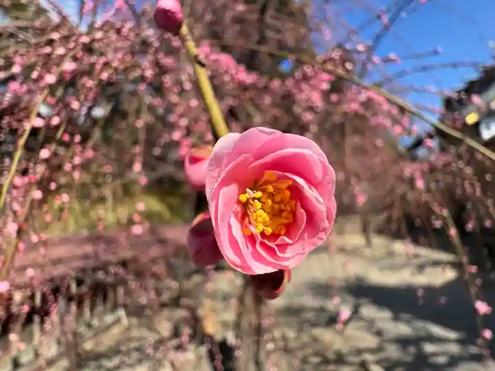 結城神社(三重県)