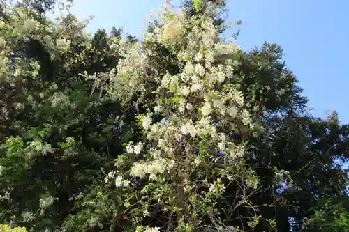 深山神社の庭園