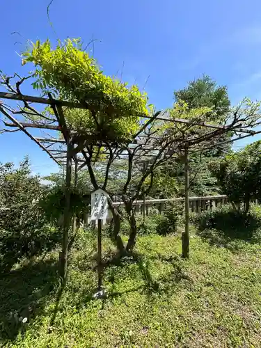 八雲神社(緑町)(栃木県)