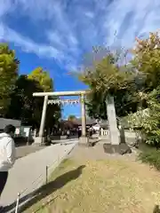 浅草神社(東京都)