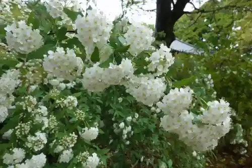 海龍王寺(奈良県)