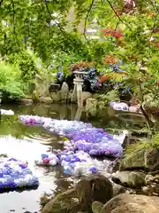 楽法寺（雨引観音）の庭園