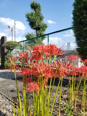 福寿院(東京都)