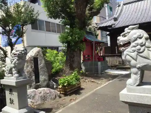 山神社の狛犬