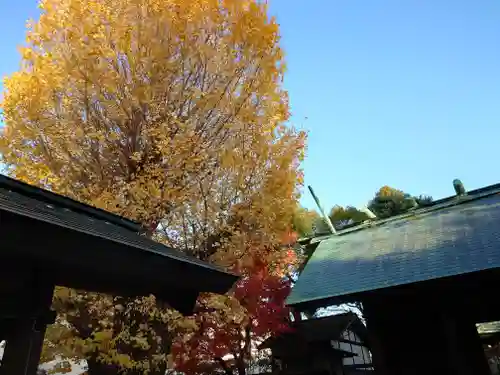 大垣大神宮(岐阜県)