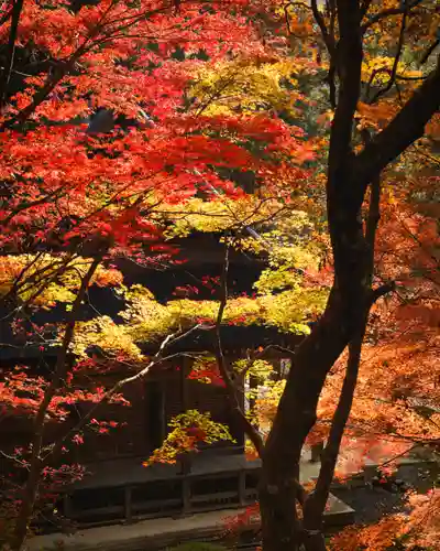 石道寺(滋賀県)