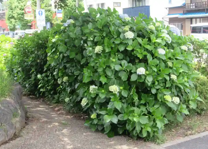 外川神社(神奈川県)