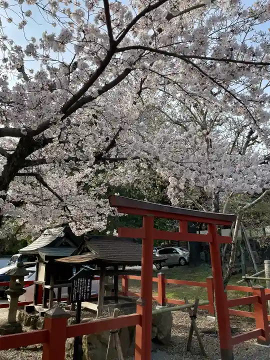 氷室神社の{uncategorized: "未分類", other: "その他", undefined: "問題あり", building: "その他建物", grave: "お墓", sacred_gate: "鳥居", guardian: "狛犬", statue: "像", buddha: "仏像", history: "歴史", nature: "自然", garden: "庭園", animal: "動物", pagoda: "塔", temizu: "手水舎", mountain_gate: "山門・神門", sanctuary: "本殿・本堂", subordinate: "末社・摂社", art: "芸術", scenery: "景色", jizo: "地蔵", ema: "絵馬", goshuin: "御朱印", omikuji: "おみくじ", items: "授与品その他", amulet: "お守り", goshuincho: "御朱印帳", eats: "食事", festival: "お祭り", votive_dance: "神楽", shichigosan: "七五三参", wedding: "結婚式", experience: "体験その他", initially: "初詣", around: "周辺", anti_infection: "感染症対策"}