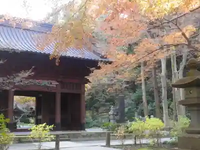 妙本寺の山門・神門