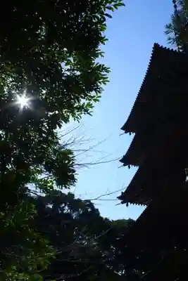 醍醐寺(京都府)