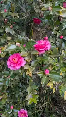 浄安寺(京都府)