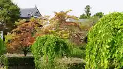 眞田神社の周辺