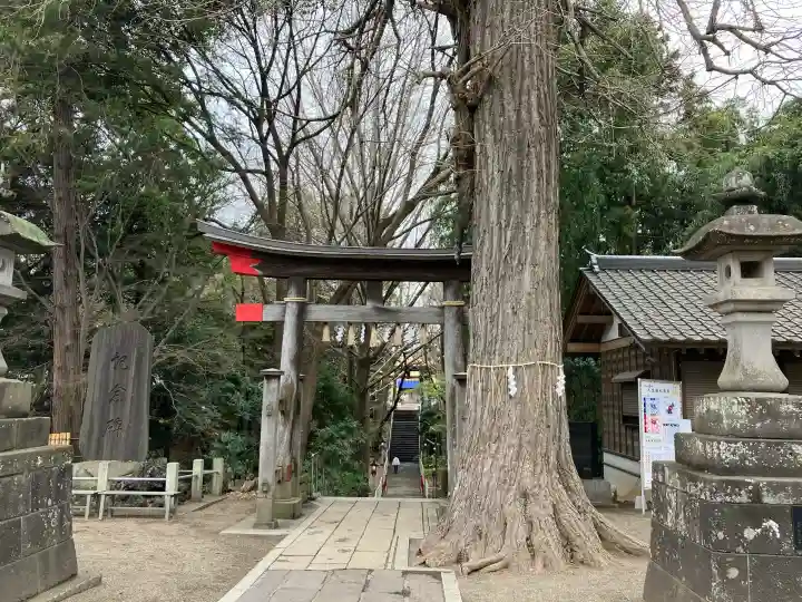 下総国三山 二宮神社の{uncategorized: "未分類", other: "その他", undefined: "問題あり", building: "その他建物", grave: "お墓", sacred_gate: "鳥居", guardian: "狛犬", statue: "像", buddha: "仏像", history: "歴史", nature: "自然", garden: "庭園", animal: "動物", pagoda: "塔", temizu: "手水舎", mountain_gate: "山門・神門", sanctuary: "本殿・本堂", subordinate: "末社・摂社", art: "芸術", scenery: "景色", jizo: "地蔵", ema: "絵馬", goshuin: "御朱印", omikuji: "おみくじ", items: "授与品その他", amulet: "お守り", goshuincho: "御朱印帳", eats: "食事", festival: "お祭り", votive_dance: "神楽", shichigosan: "七五三参", wedding: "結婚式", experience: "体験その他", initially: "初詣", around: "周辺", anti_infection: "感染症対策"}