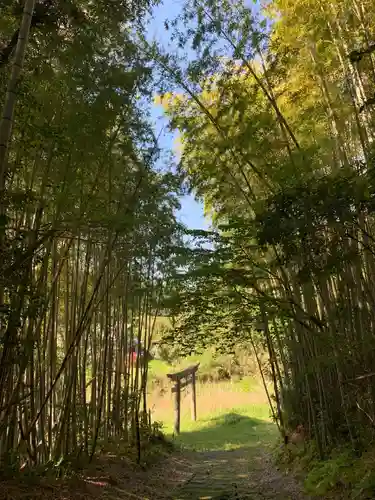 皇産霊神社の鳥居