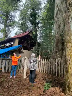 天鷹神社(岐阜県)