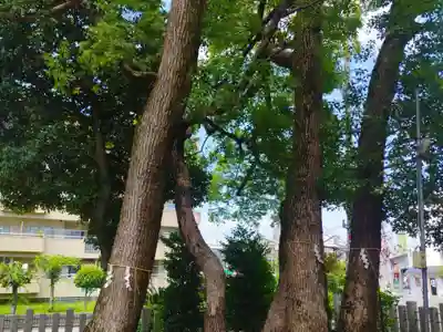 大利神社(大阪府)