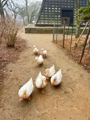 楽法寺(雨引観音)(茨城県)