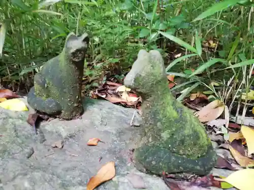 白金氷川神社の狛犬