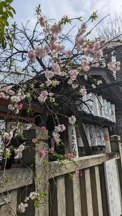 御辰稲荷神社(京都府)