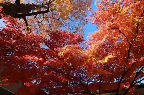 安積國造神社の自然