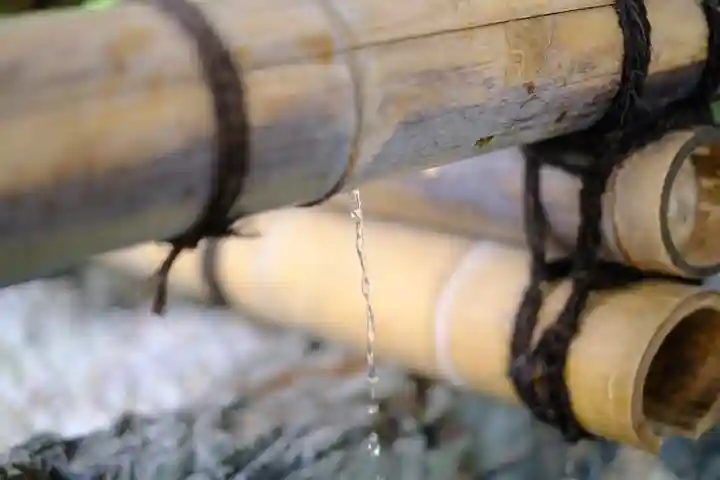 和泉國一之宮 大鳥大社の手水舎