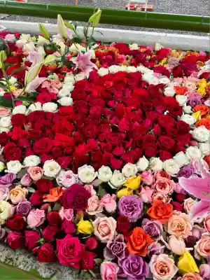 住吉神社(北海道)