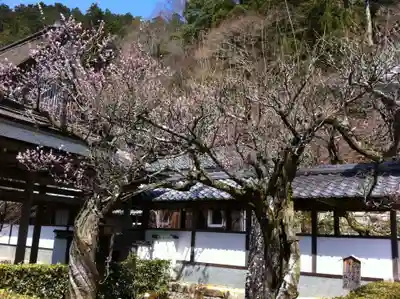 永源寺のその他建物