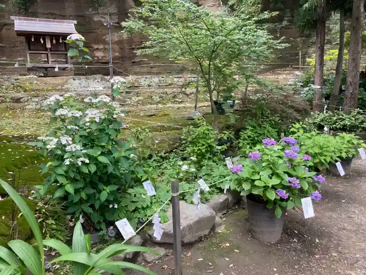 瀬戸神社(神奈川県)