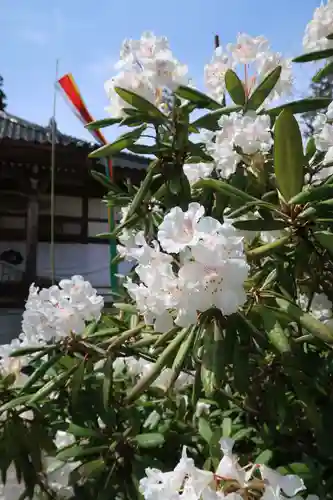 常楽寺(富山県)