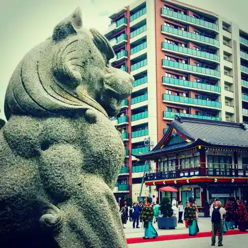 神田神社（神田明神）の狛犬