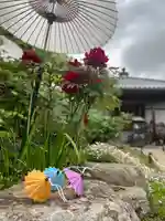 當麻寺西南院の庭園