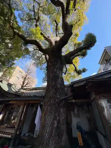 若一神社の{uncategorized: "未分類", other: "その他", undefined: "問題あり", building: "その他建物", grave: "お墓", sacred_gate: "鳥居", guardian: "狛犬", statue: "像", buddha: "仏像", history: "歴史", nature: "自然", garden: "庭園", animal: "動物", pagoda: "塔", temizu: "手水舎", mountain_gate: "山門・神門", sanctuary: "本殿・本堂", subordinate: "末社・摂社", art: "芸術", scenery: "景色", jizo: "地蔵", ema: "絵馬", goshuin: "御朱印", omikuji: "おみくじ", items: "授与品その他", amulet: "お守り", goshuincho: "御朱印帳", eats: "食事", festival: "お祭り", votive_dance: "神楽", shichigosan: "七五三参", wedding: "結婚式", experience: "体験その他", initially: "初詣", around: "周辺", anti_infection: "感染症対策"}