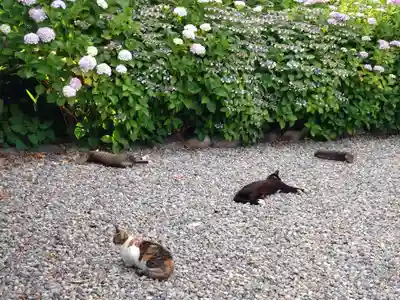 喜見寺(愛知県)