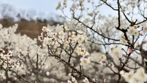 神前神社(岡山県)