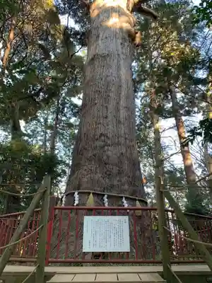 麻賀多神社(千葉県)