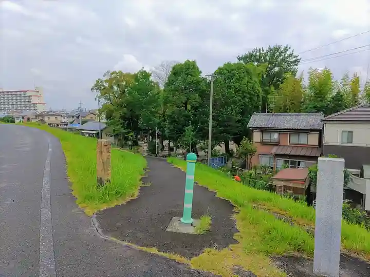 高牟神社(瀬古)の自然