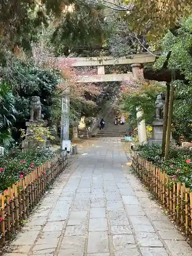 赤坂氷川神社(東京都)