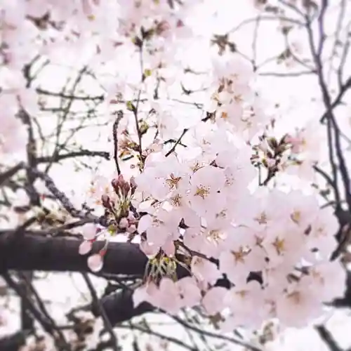 戸塚穴守稲荷社(神奈川県)